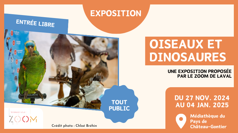 03 exposition oiseaux et dinosaures