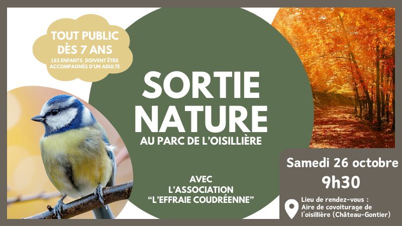 sortie nature octobre 2024